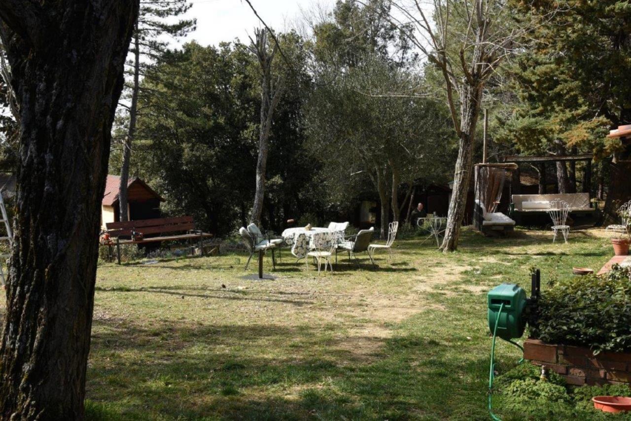 Mdq - Azienda Agricola Apartment Castiglione d'Orcia Ngoại thất bức ảnh